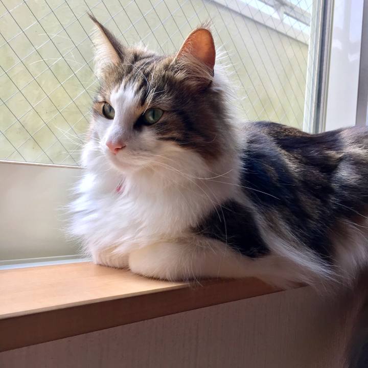 74bcd5af bab0 47c7 b6cc 0db4502b0347