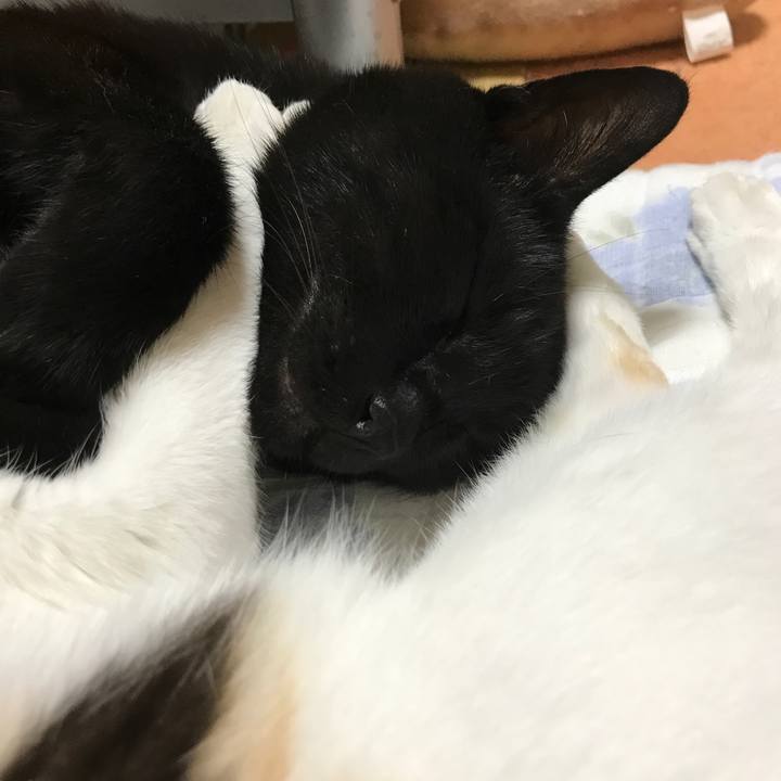 74bcdd7f 2c7f 4461 9fe3 7e803b81b33a