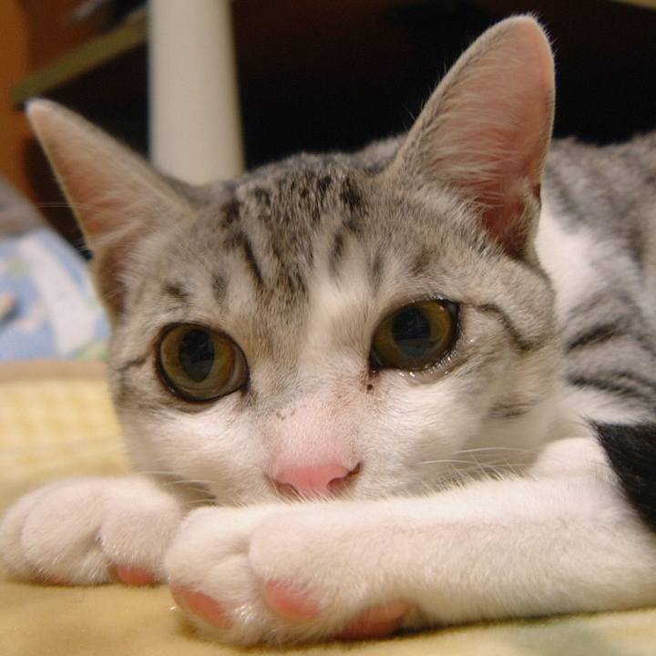 74bd6e34 32e3 47db 8c7e 41c979208ce2