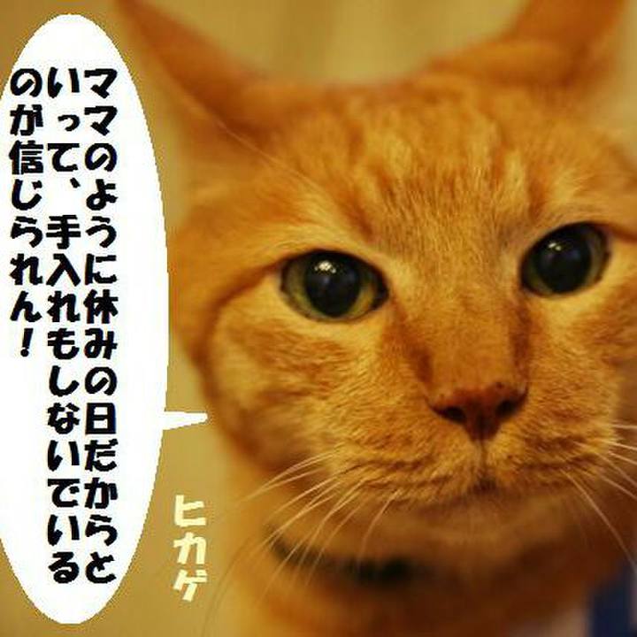 74bdb277 6178 4ee9 ab24 826223e4282f