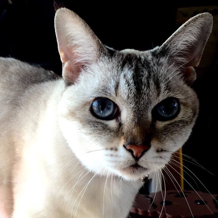 74be785c 5dd3 4a84 9ae6 25b06b96f235