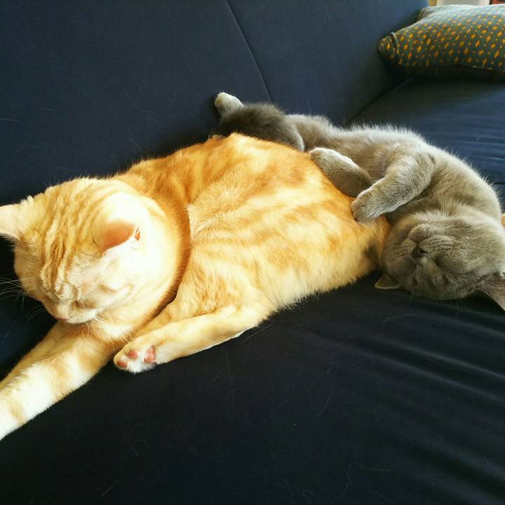 74beae58 76ea 49c5 b073 36fc11c23af1