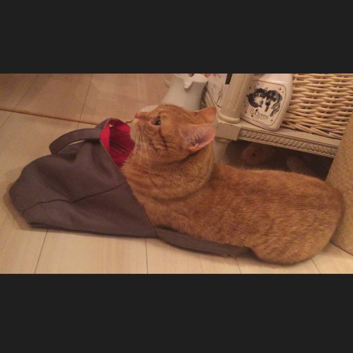 74bee8d3 da34 470a 8df4 380d1478853e