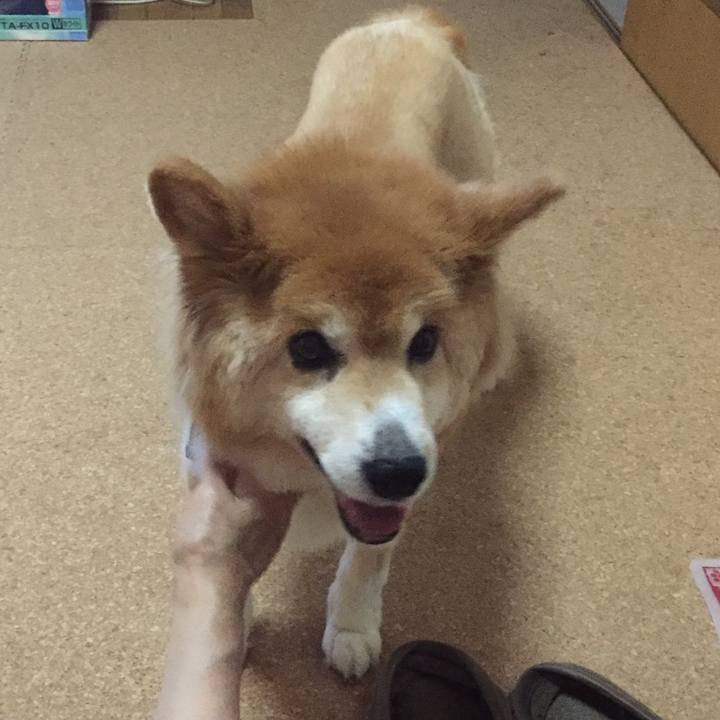 74beeb4a 5493 480d b4cc d248498fc630