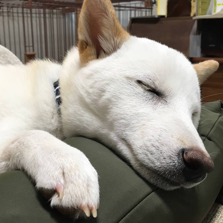 74bf03ae e0b5 4177 8911 cfac5b154ea0