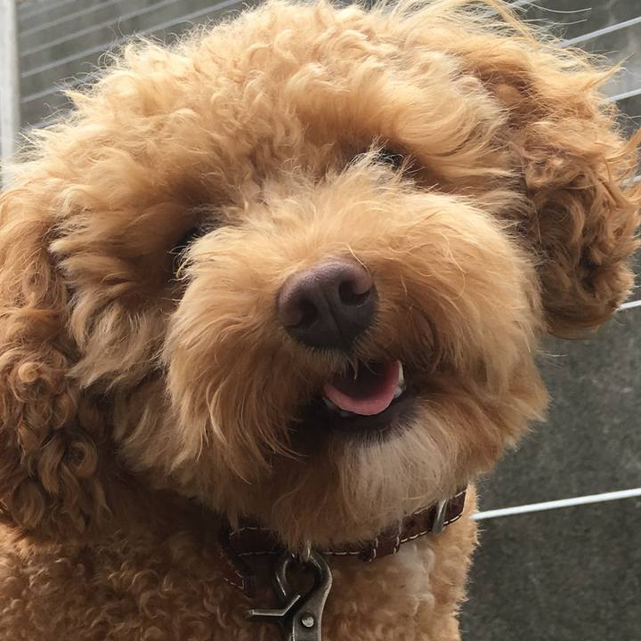 74bfb9d7 fea4 4e0d bb06 15e650b11934