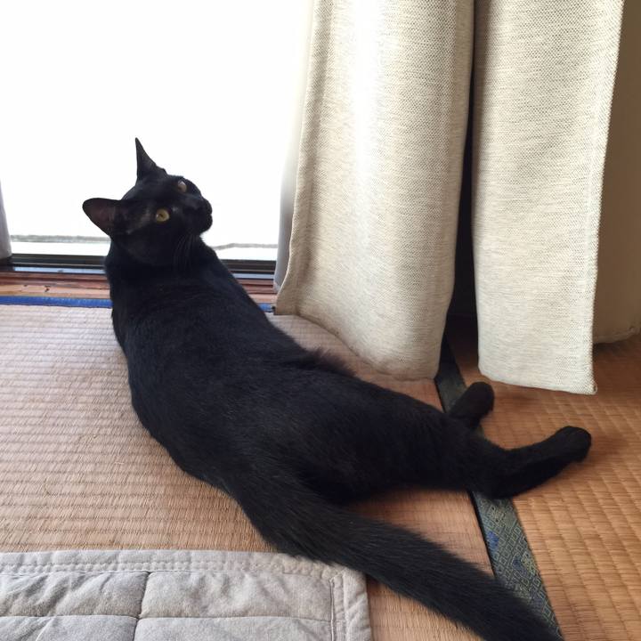 74c0f201 43c2 4c9d a87b 3c0294580c95