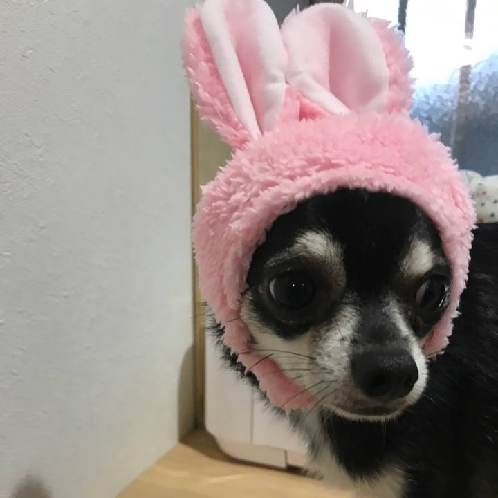 74c10f62 8310 4978 8cd0 08023b377c83