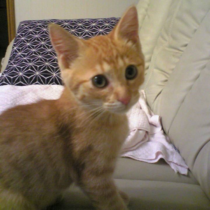 74c1f436 4c35 42e1 af1d 95c47370cb66