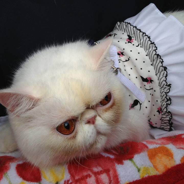 74c2449a ea16 4105 91d0 ae5e82997a48