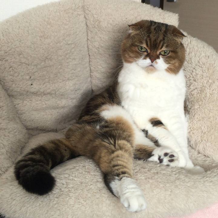 74c27fc7 1ac8 47ab 95e8 38f65584fcaa