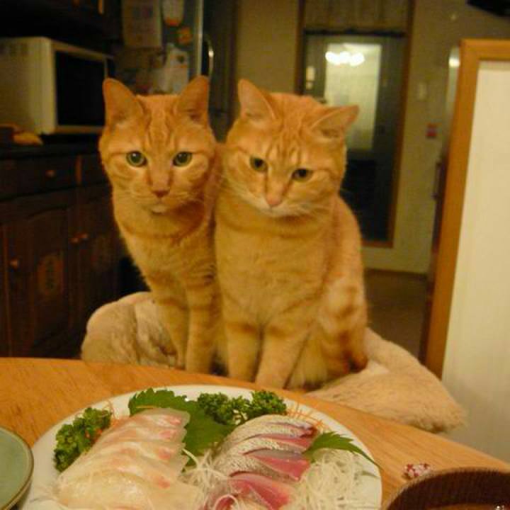 74c2f73d 9e08 4359 a811 2e2e72241bed