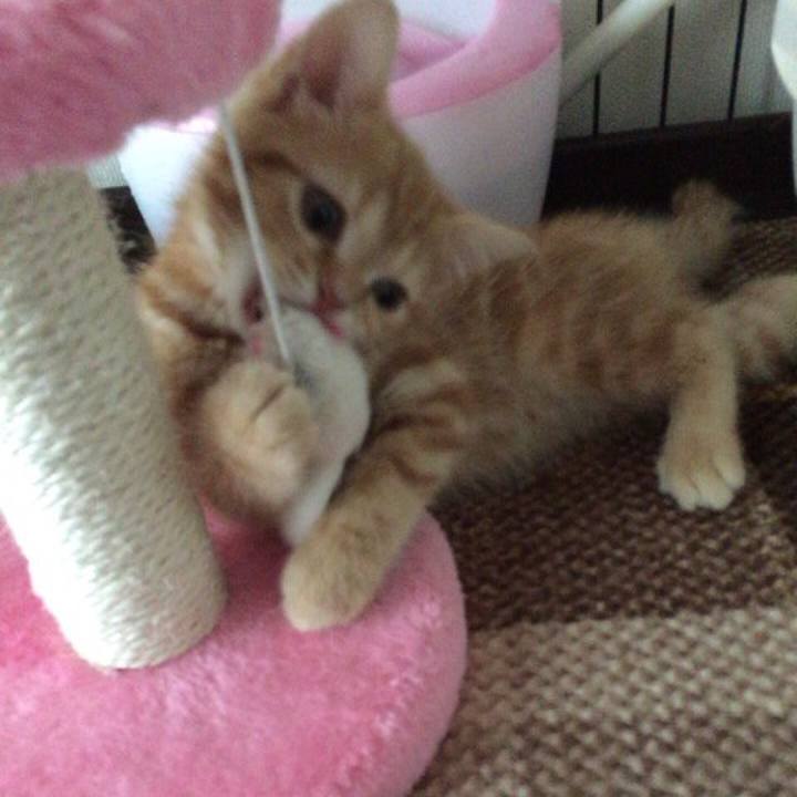 74c3cd0b 679d 4a42 be05 c587c4e2fd39