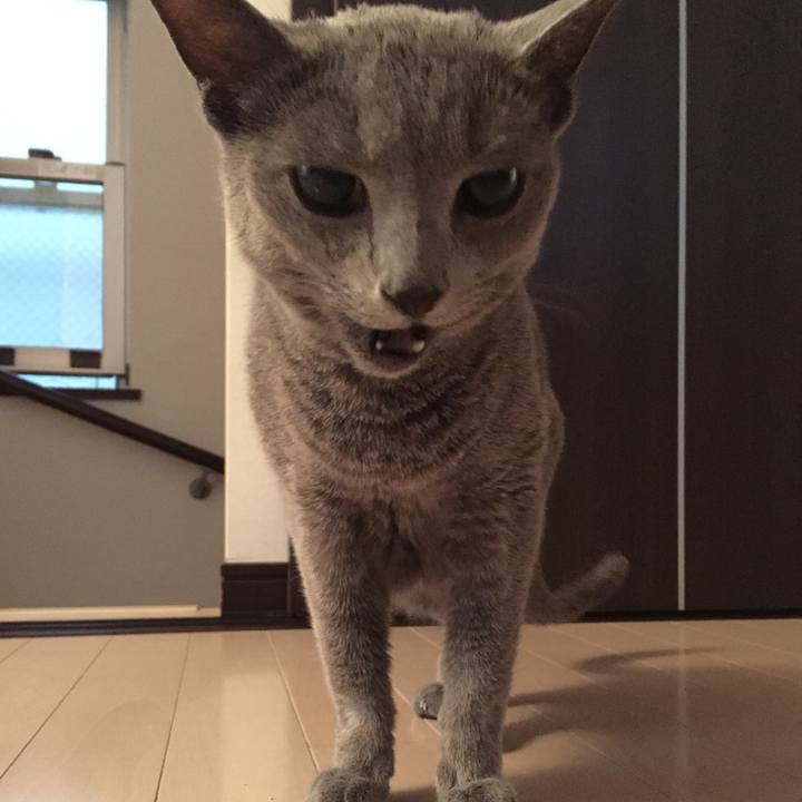 74c3d07d 4165 4b74 8924 ed4e852c66e0