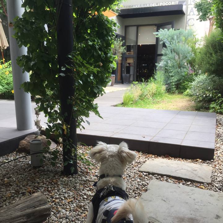 74c49032 9b2a 4562 b826 20c79acb898f