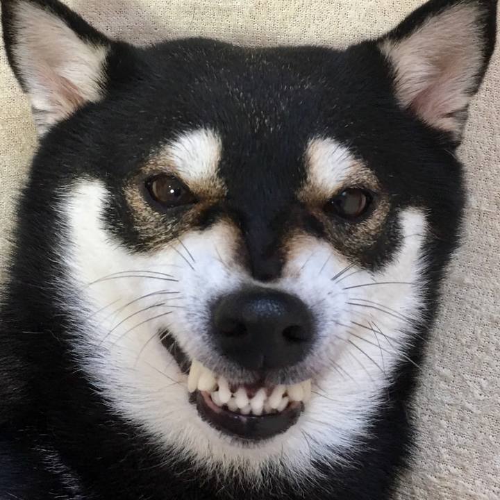 74c49bda dc9b 4d24 84f3 b757d631999d