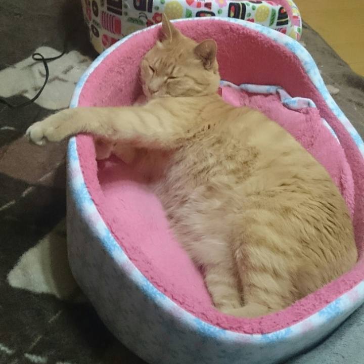 74c6933c 24d7 4b2e 8f5b 89c7bdcb7b2e