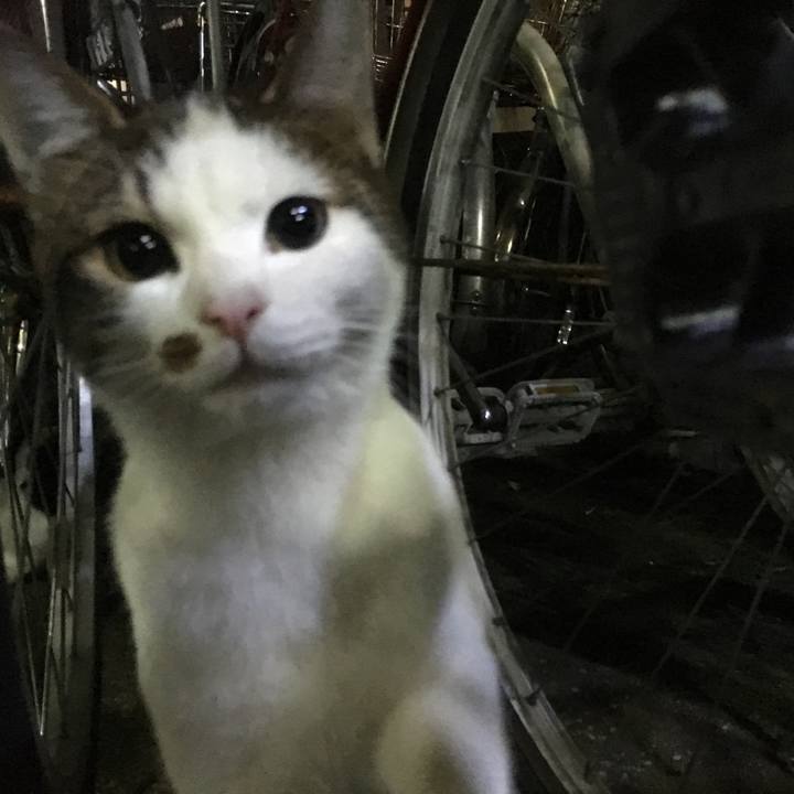 74c70b78 7511 4b45 8879 755109dbb1fd