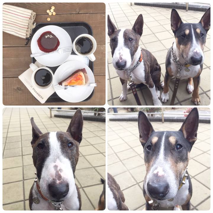 74c73dd6 c189 4f0c a398 960fcd7d4792