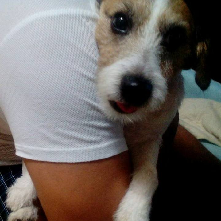 74c785a3 428a 477a ab69 ba45282b2aba