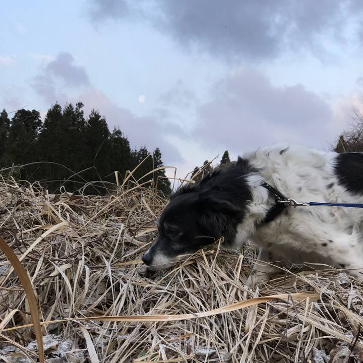 74c79ce5 dad3 4f2a b133 132398a00d3a