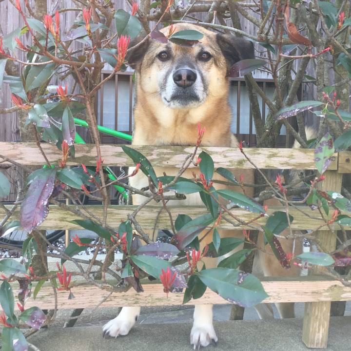 74c79db5 c483 43e6 b649 de0994457658