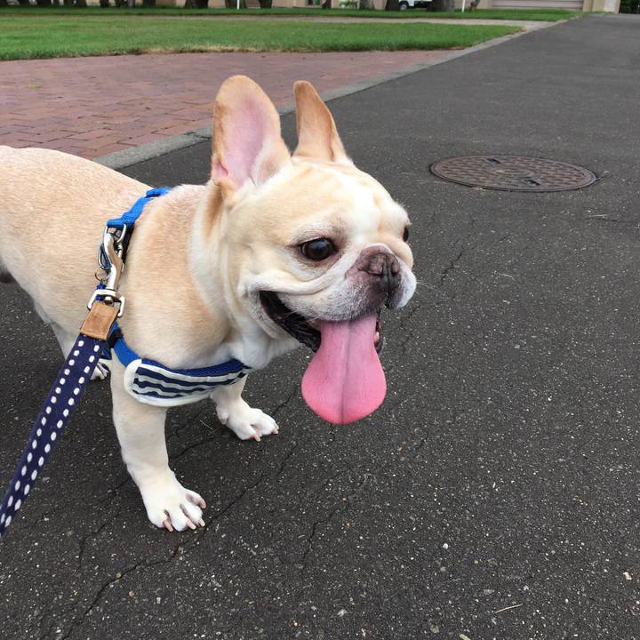 74c7da35 a3f9 4ad6 bbd4 6f49726a5a48