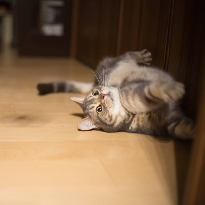 74c7fb6f 2eb4 473d bbdc e42cd214bf47