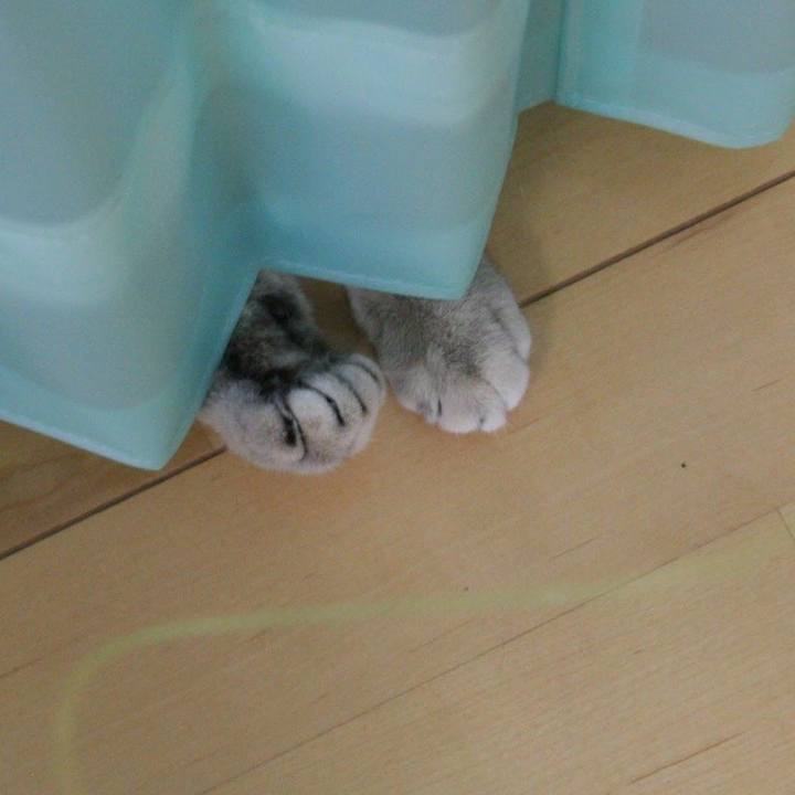 74c8656b 37de 41ab 95d5 f2cfca852017