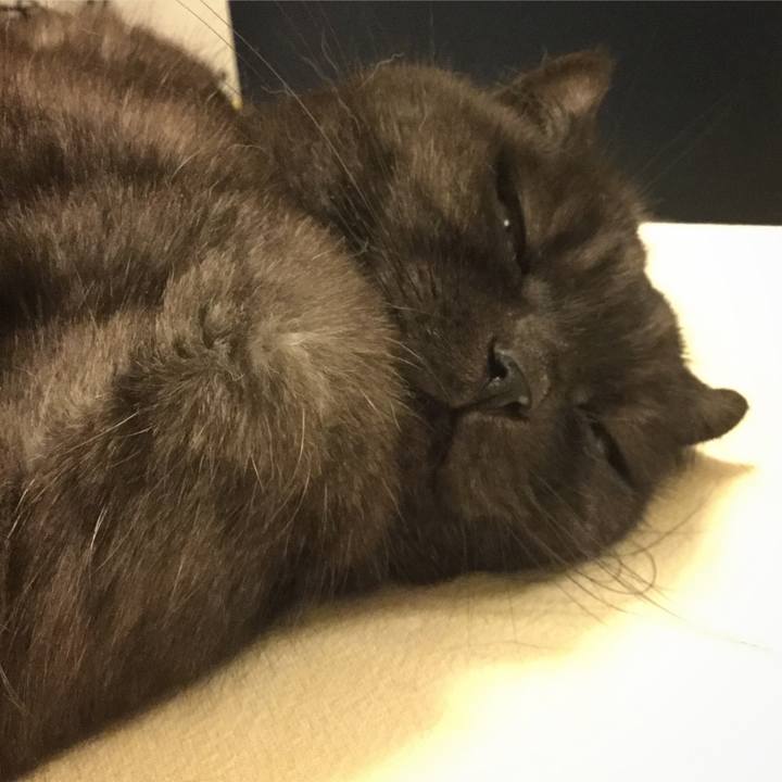 74c8cd1d b73d 4fad 82a1 c00c583421a3