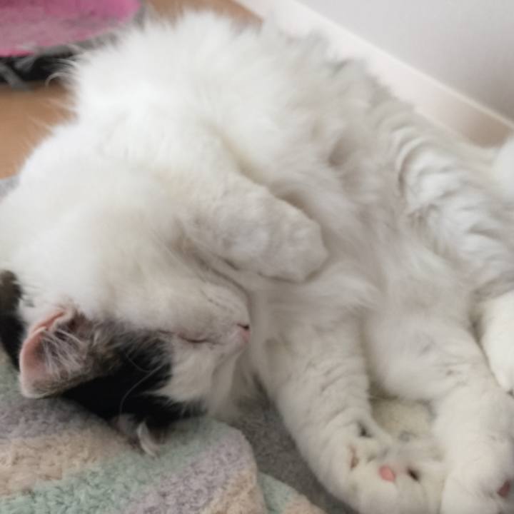 74c9032d 9c86 4701 b0af 71a7eda2d916