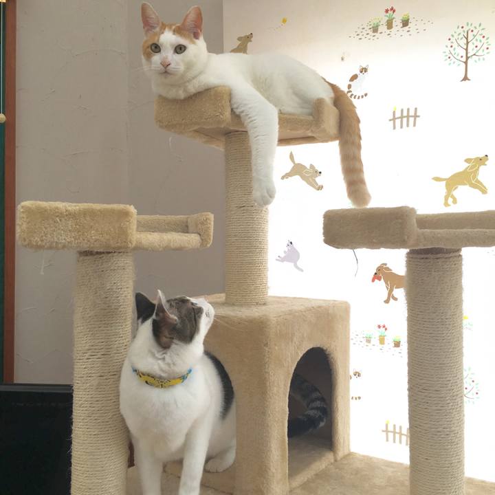 74ca05da e15f 41c5 a323 2f3ee0295bb2