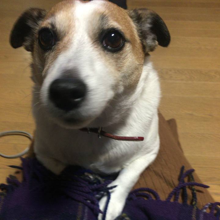 74ca0bd1 e62b 4e4a 9b9a 5189a189960d