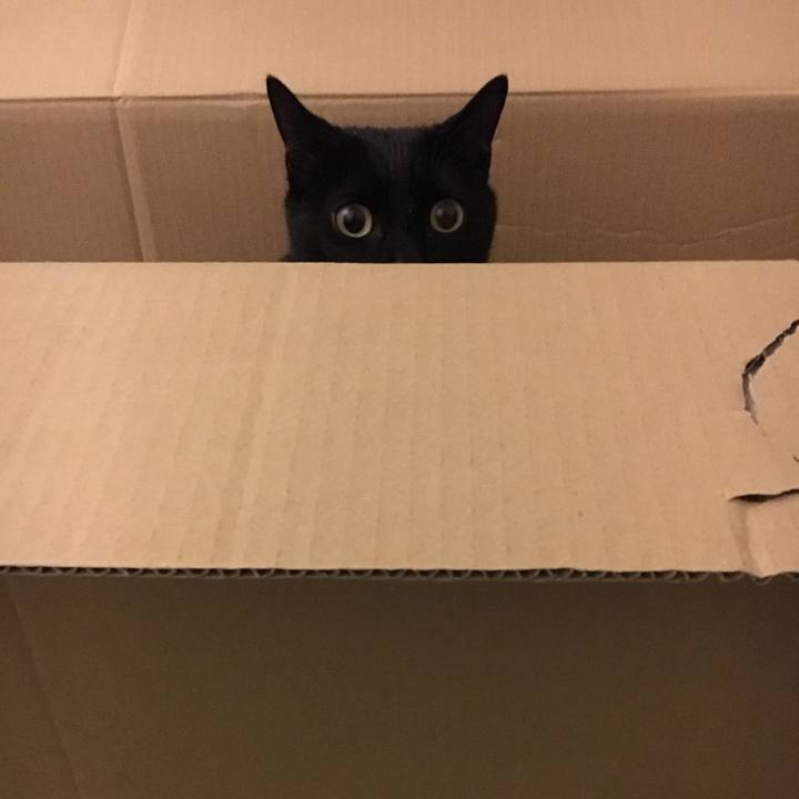 74ca175f d985 4565 9ce7 e640970bb561