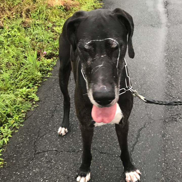 74ca50a5 c572 487c a3de 2e0f43dc50af