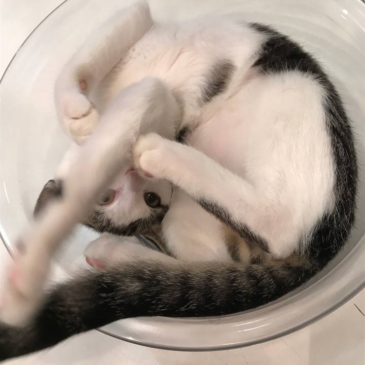 74cabdf8 0bc3 4986 909a bc7fc8682237