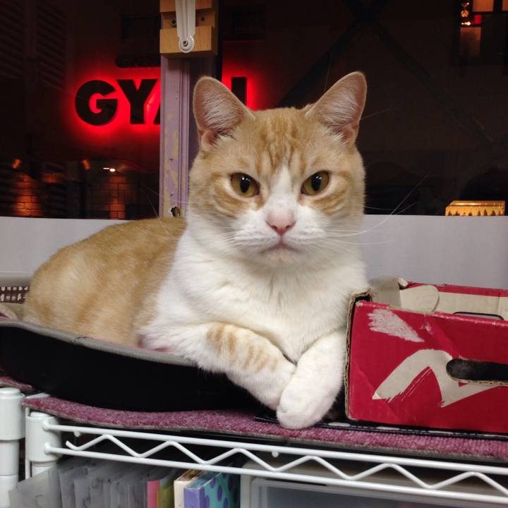 74cae245 1a0a 44eb 9452 44850e9b7321