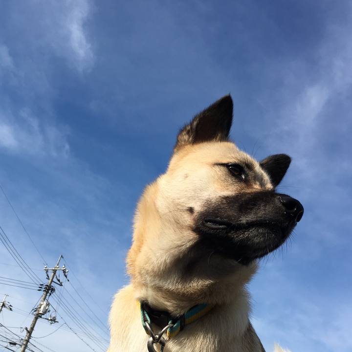 74cae894 9f0a 4338 a0f5 dad049049585