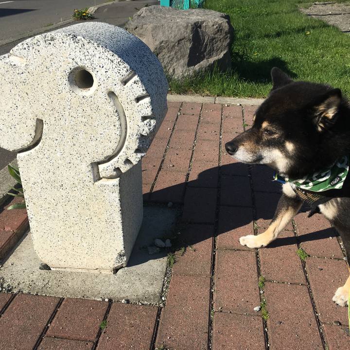 74cb1318 40c7 4df8 a408 260f4ace4380