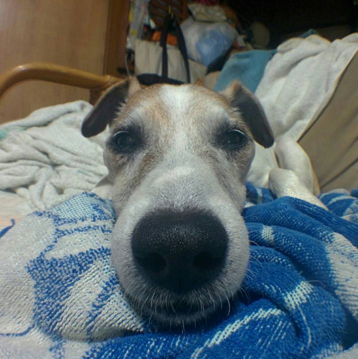 74cb3440 1044 49a7 ab41 1bb5f3270bbf