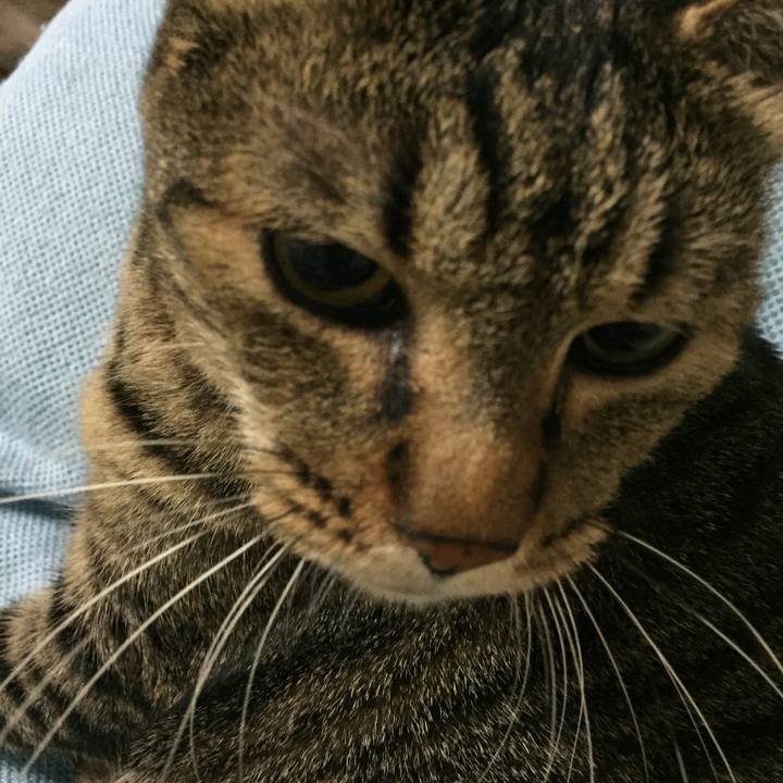 74cc0889 89d4 4b09 87d2 47b4c386c034