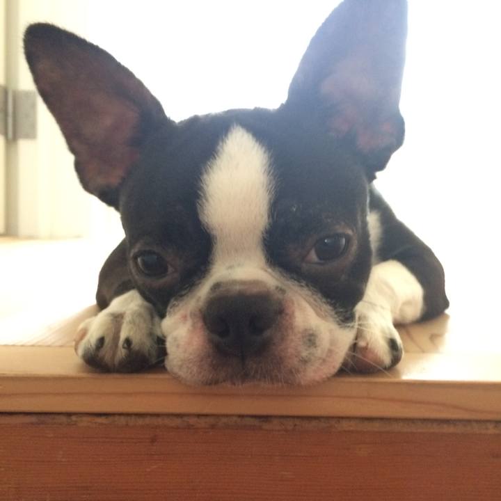 74cc2e69 13e5 4abb 990c 303f93a9d8a5