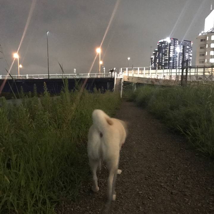 74cc4335 a748 46ee 90a2 c9a7a1be5645