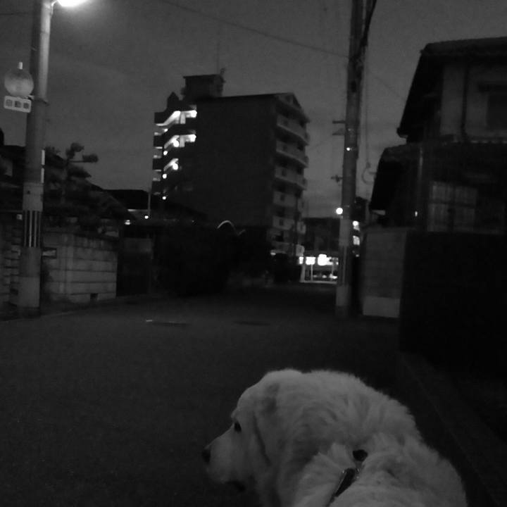 74cc6ae7 abc1 4240 ab52 944d448bf3a0