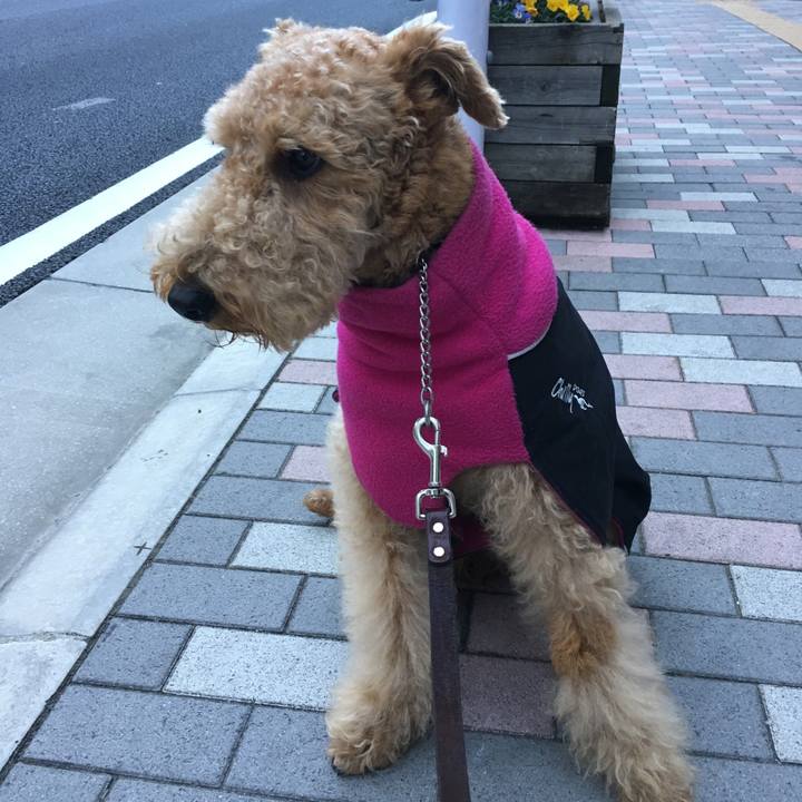 74cc7c7c 75c0 41c5 83fd 5fd163de5be4