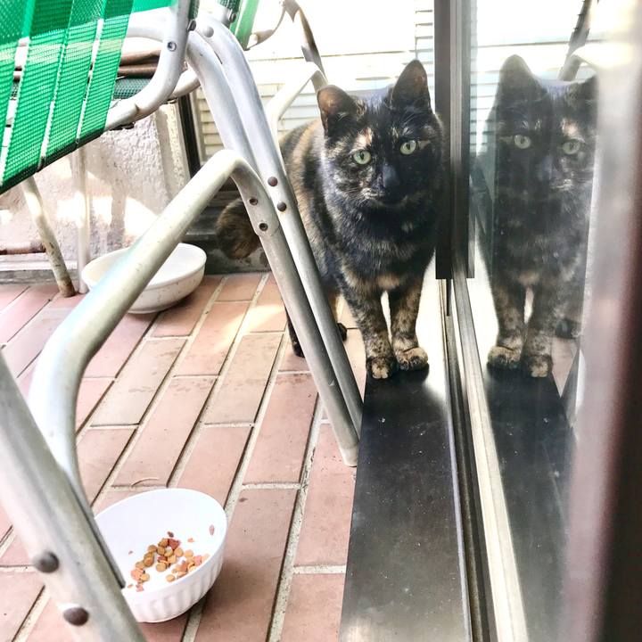 74cc8685 b3ef 4501 a85a 188d61254aa9