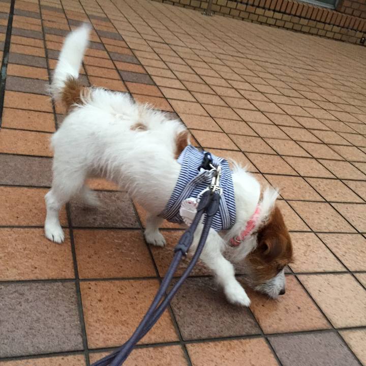 74ccc082 6a9a 4675 8886 90ce80af57ae