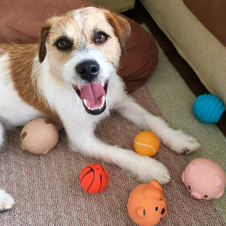 74ccdf06 b0ba 4098 aac1 7bc416d53c12