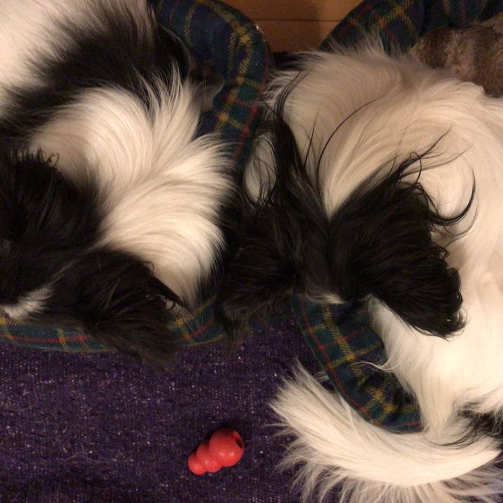 74cd2572 6eef 4238 8f04 d6a946c302c1