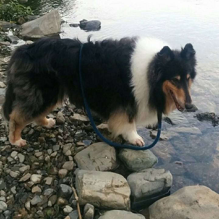 74cd7ddc 846a 4a9e a7bd b084a56fafe5